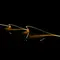 Pleo-Vivid Micro LED Neon Flex 9.6W/m 24V Yellow Per Metre Domus