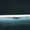 Plex-COB-20-IP67 LED Strip 24V IP67 CRI90 5000K 20m Roll Domus