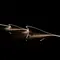 Pleo LED Neon Flex Side View 7.2W/m IP67 4000K Per Metre Domus