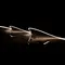 Pleo LED Neon Flex Top View 7.2W/m 24V IP67 4000K Per Metre Domus