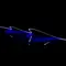 Pleo-Vivid LED Neon Flex Side View 9.6W/m Blue Per Metre Domus